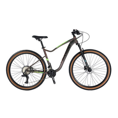 29" di sospensione di alluminio Leggio di telaio Bicicletta 2*11s Pneumatici per pareti di pelle MTB