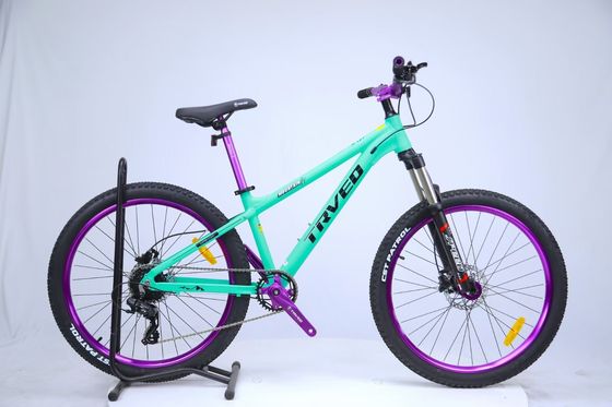 Capacità di carico di 150 kg Sport mountain bike Forchetta in acciaio e pedale ordinario per esperienza di guida