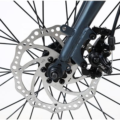 20 pollici bicicletta elettrica pieghevole 36v 6 SPEED batteria al litio rimovibile per il ciclismo all' aperto
