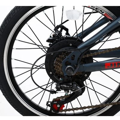 20 pollici bicicletta elettrica pieghevole 36v 6 SPEED batteria al litio rimovibile per il ciclismo all' aperto