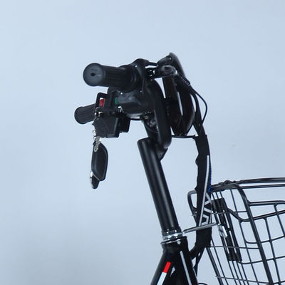 Leggera 36V 250w Central Motor Electric Bike Bicicletta con posizione del motore in Central