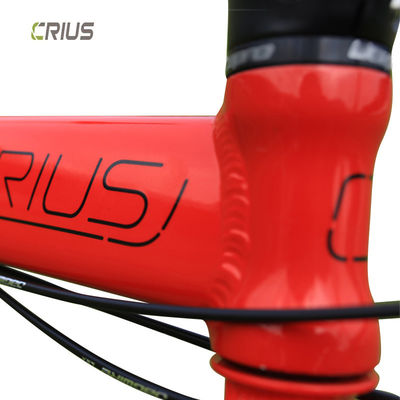 Bicicola pieghevole leggera da corsa da 20 pollici 9 velocità Master V con forcella in alluminio