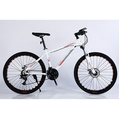 Vivi l' emozione di una bicicletta da montagna a 24 velocità con doppio cerchio e pneumatici di grandi dimensioni