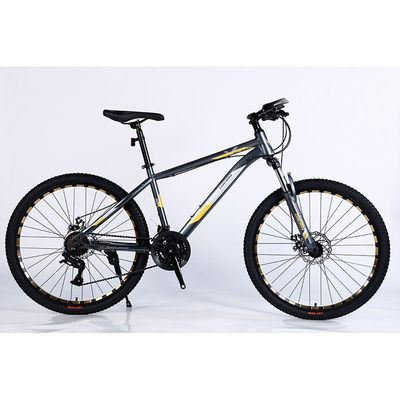 Vivi l' emozione di una bicicletta da montagna a 24 velocità con doppio cerchio e pneumatici di grandi dimensioni