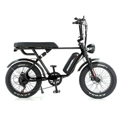 35kg Aluminum Alloy Frame Fat Tire Electric E Bike con motore a lunga autonomia da 48v 750W/1000W