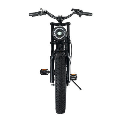 Potente 750W V8 Motor 20 pollici Fat Tire Electric Mountain Bike con 48V 15ah Battery
