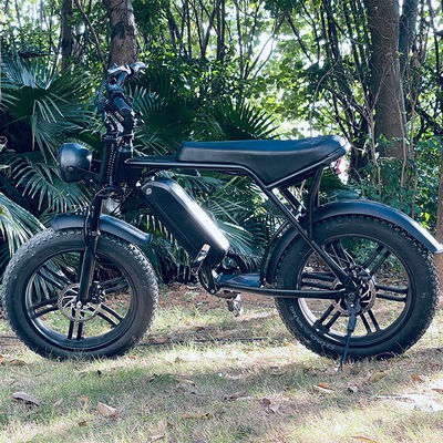Potente 750W V8 Motor 20 pollici Fat Tire Electric Mountain Bike con 48V 15ah Battery