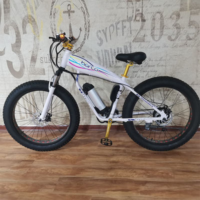 48V 500W Power Electric Bike per l'equilibrio di esercizio e avventure retro ebike vintage