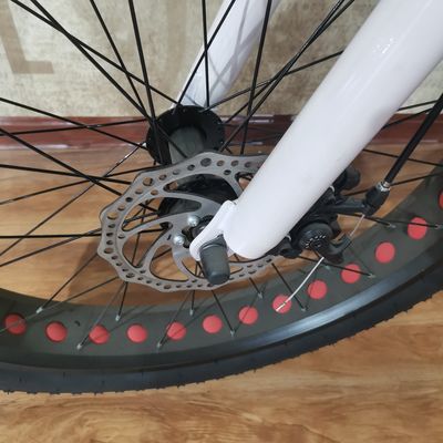 48V 500W Power Electric Bike per l'equilibrio di esercizio e avventure retro ebike vintage