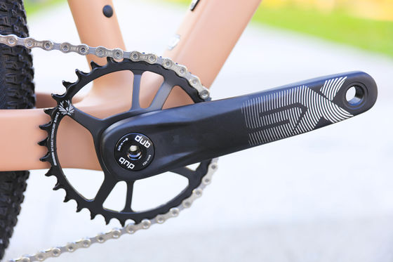 Cerchiera in alluminio 24 velocità 29 pollici Bici di montagna al carbonio per avventure di montagna