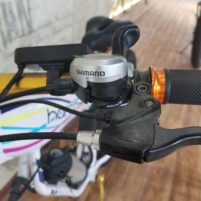 48V 500W Power Electric Bike per l'equilibrio di esercizio e avventure retro ebike vintage