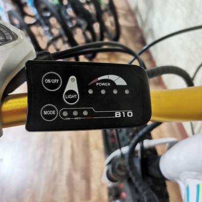 48V 500W Power Electric Bike per l'equilibrio di esercizio e avventure retro ebike vintage