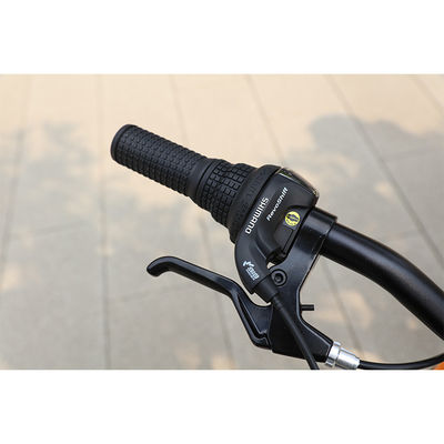 Girl Steel Frame Child Bike con forchetta di sospensione e NO ruote di allenamento