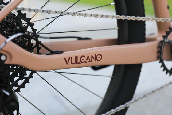 Cerchiera in alluminio 24 velocità 29 pollici Bici di montagna al carbonio per avventure di montagna