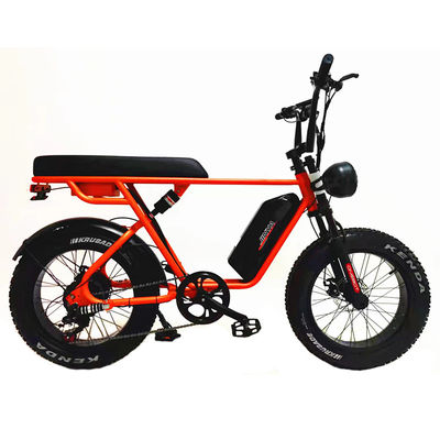 Avventura all'aria aperta 20*4.0 Kenda Fat Tire Double Disc Brake Mountain Bike per adolescenti