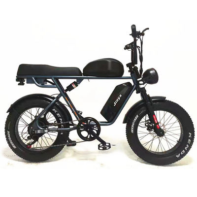 Avventura all'aria aperta 20*4.0 Kenda Fat Tire Double Disc Brake Mountain Bike per adolescenti