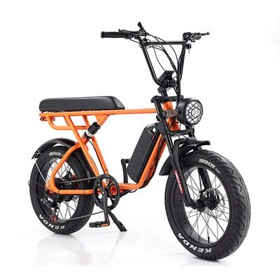 Avventura all'aria aperta 20*4.0 Kenda Fat Tire Double Disc Brake Mountain Bike per adolescenti