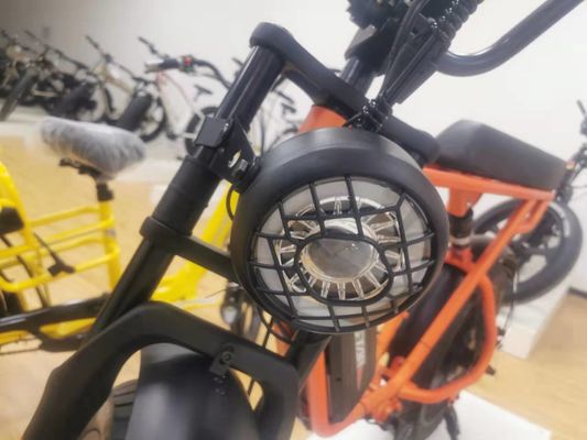 Avventura all'aria aperta 20*4.0 Kenda Fat Tire Double Disc Brake Mountain Bike per adolescenti