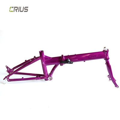 9 marce di velocità Crius 20 pollici Master D Folding Road Bike con freno in V e uomini di corsa