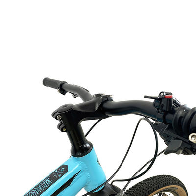 Cassetta in lega 29 pollici mountain bike con freno a disco idraulico e telaio in lega di alluminio