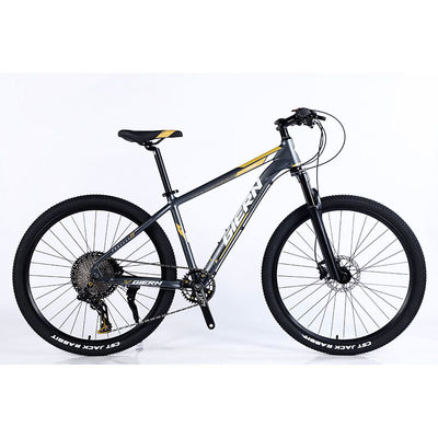 Fabbricazione di biciclette da montagna a 12 marce a doppia parete e design classico