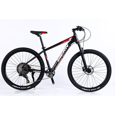 Fabbricazione di biciclette da montagna a 12 marce a doppia parete e design classico