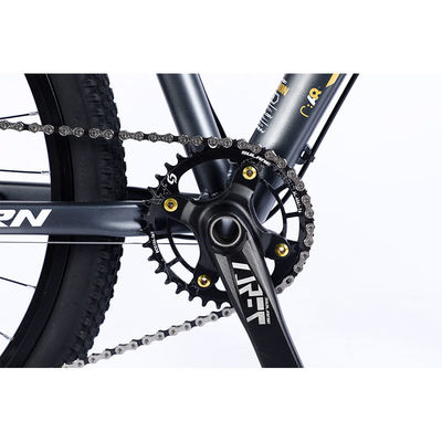 Fabbricazione di biciclette da montagna a 12 marce a doppia parete e design classico