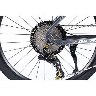 Fabbricazione di biciclette da montagna a 12 marce a doppia parete e design classico