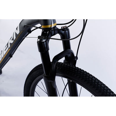 Fabbricazione di biciclette da montagna a 12 marce a doppia parete e design classico