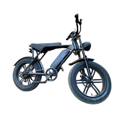 E-bike elettrico a gomma grassa con freno a doppio disco e batteria al litio