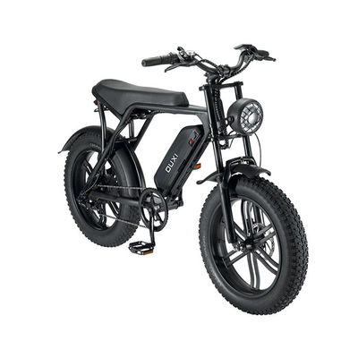 E-bike elettrico a gomma grassa con freno a doppio disco e batteria al litio