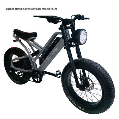 Bicicletta elettrica a freno a disco meccanico 48v 500w Motor ebike 2 ruote 20 pollici gomma di grasso