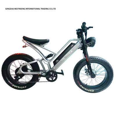 Bicicletta elettrica a freno a disco meccanico 48v 500w Motor ebike 2 ruote 20 pollici gomma di grasso