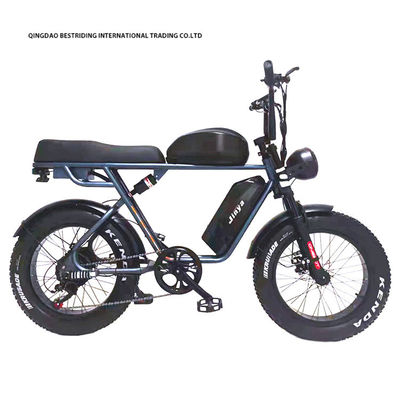 Custom 48V 1000W Electric Bike 20 pollici Fat Tire Ebike con e caricabatterie al litio 52V