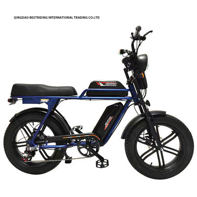 Custom 48V 1000W Electric Bike 20 pollici Fat Tire Ebike con e caricabatterie al litio 52V