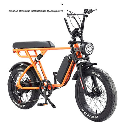 Custom 48V 1000W Electric Bike 20 pollici Fat Tire Ebike con e caricabatterie al litio 52V