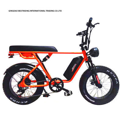 Custom 48V 1000W Electric Bike 20 pollici Fat Tire Ebike con e caricabatterie al litio 52V