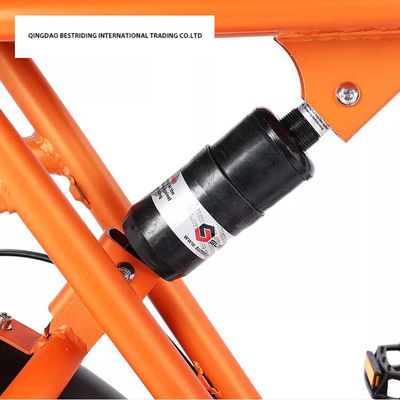 Custom 48V 1000W Electric Bike 20 pollici Fat Tire Ebike con e caricabatterie al litio 52V