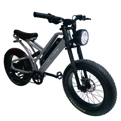 Pneumatici elettronici a grassi Bicicleta elettrica 20 pollici Pneumatici a grassi 500w Ebike 48v con Smart Type