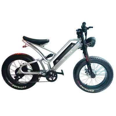 Pneumatici elettronici a grassi Bicicleta elettrica 20 pollici Pneumatici a grassi 500w Ebike 48v con Smart Type