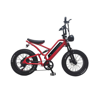 Pneumatici elettronici a grassi Bicicleta elettrica 20 pollici Pneumatici a grassi 500w Ebike 48v con Smart Type