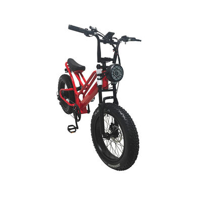 Pneumatici elettronici a grassi Bicicleta elettrica 20 pollici Pneumatici a grassi 500w Ebike 48v con Smart Type