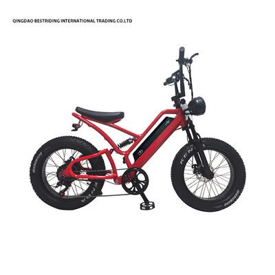 48V10Ah batteria al litio 5000w bici elettrica per adulti 20 pollici gomma grassa ebike