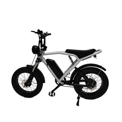 Motore a mozzo posteriore 20*4,0' Fat Tire Electric Bicycle E-Bike per il mercato