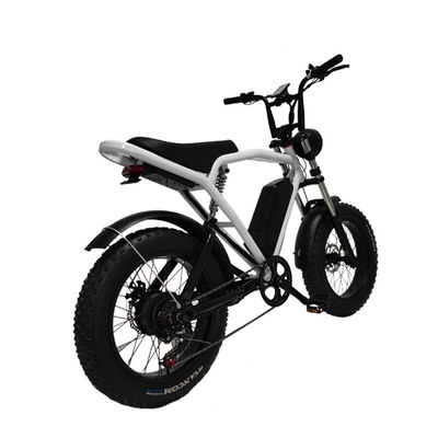 Motore a mozzo posteriore 20*4,0' Fat Tire Electric Bicycle E-Bike per il mercato