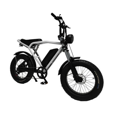 Motore a mozzo posteriore 20*4,0' Fat Tire Electric Bicycle E-Bike per il mercato