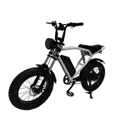 Motore a mozzo posteriore 20*4,0' Fat Tire Electric Bicycle E-Bike per il mercato