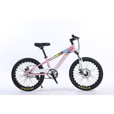 20" Bambini Bicicletta Bambini Bicicletta Bicicletta a velocità singola Bicicletta con forchetta di sospensione in acciaio