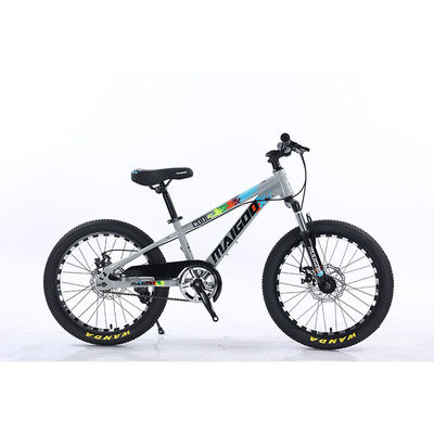 20" Bambini Bicicletta Bambini Bicicletta Bicicletta a velocità singola Bicicletta con forchetta di sospensione in acciaio