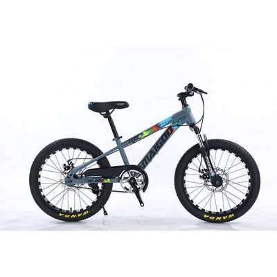 20" Bambini Bicicletta Bambini Bicicletta Bicicletta a velocità singola Bicicletta con forchetta di sospensione in acciaio